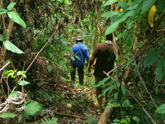 Conservation volunteer along the Oaxaca Coast