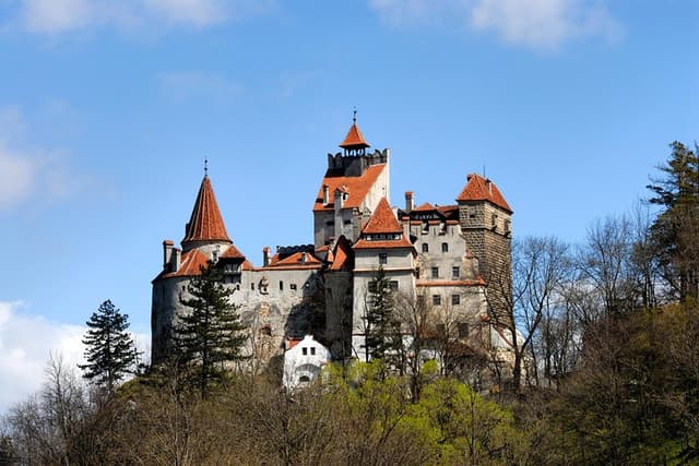 Bran Castle, Rasnov Fortress, and Peles Castle visit | Brașov, Romania