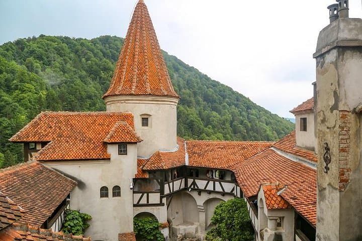 Bran Castle, Rasnov Fortress, and Peles Castle visit | Brașov, Romania