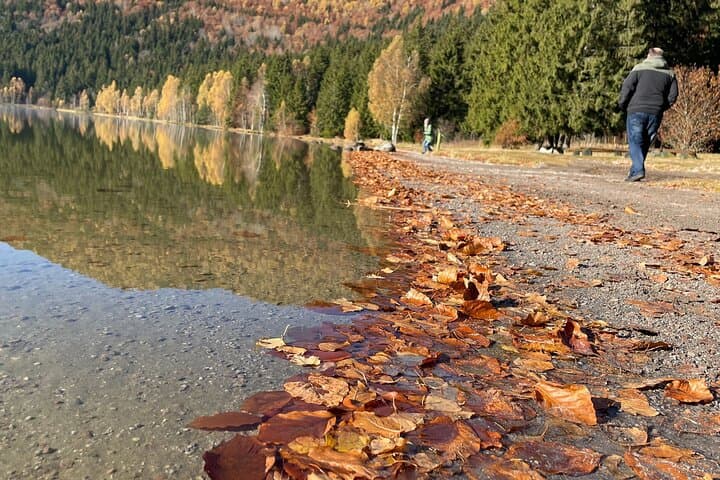 Small-group day trip to the unique volcanic lake in Eastern Europe | Brașov, Romania
