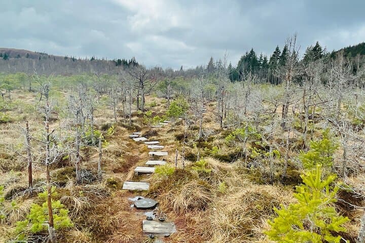 Small-group day trip to the unique volcanic lake in Eastern Europe | Brașov, Romania
