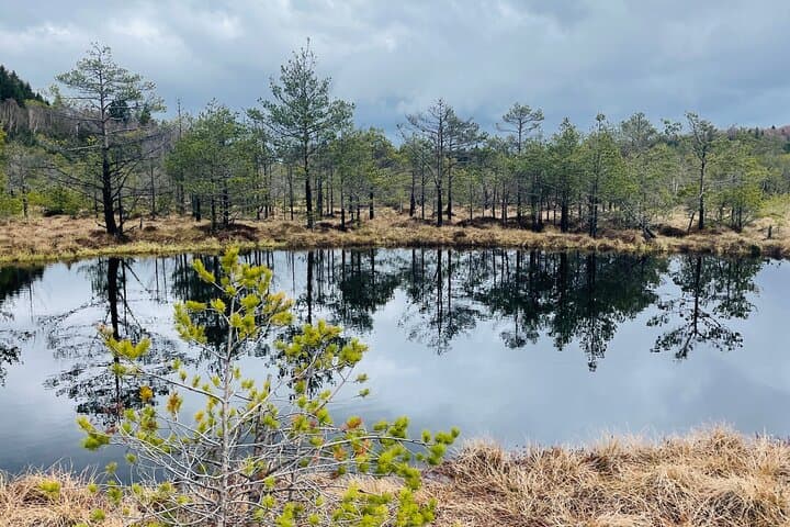 Small-group day trip to the unique volcanic lake in Eastern Europe | Brașov, Romania