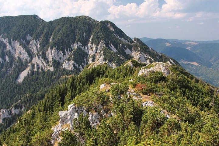 Piatra Craiului National Park Private Hiking Tour from Brașov, Romania