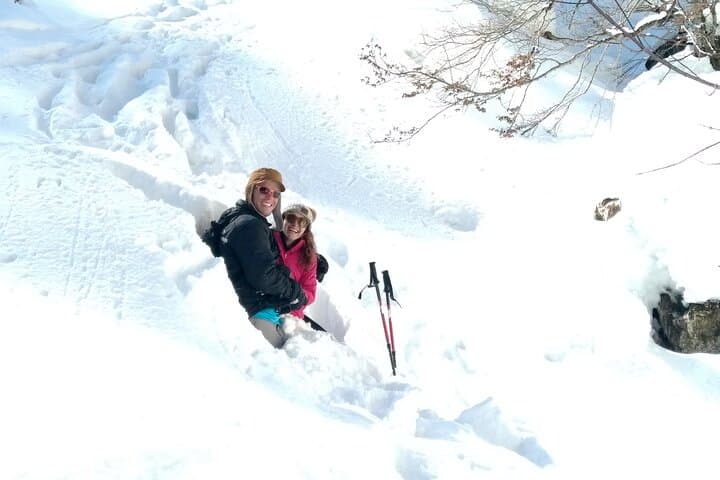 Piatra Craiului National Park Private Hiking Tour from Brașov, Romania