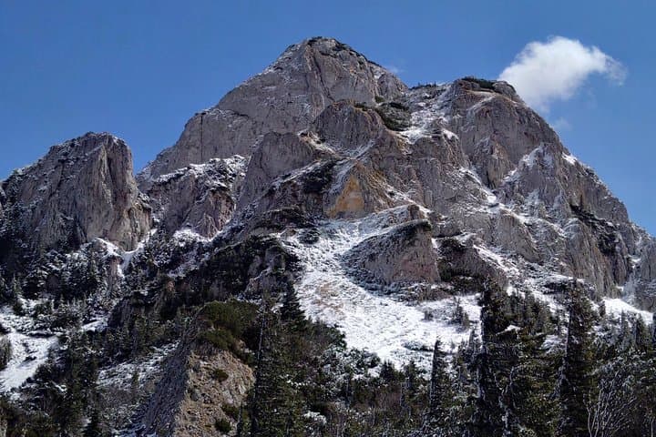 Piatra Craiului National Park Private Hiking Tour from Brașov, Romania