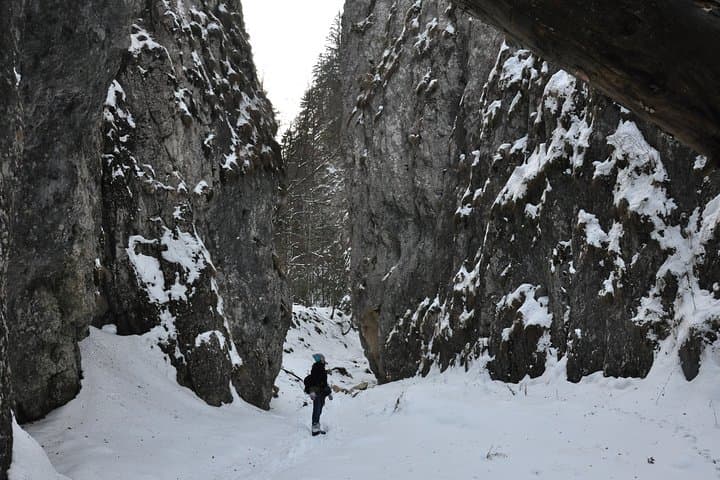 Piatra Craiului National Park Private Hiking Tour from Brașov, Romania