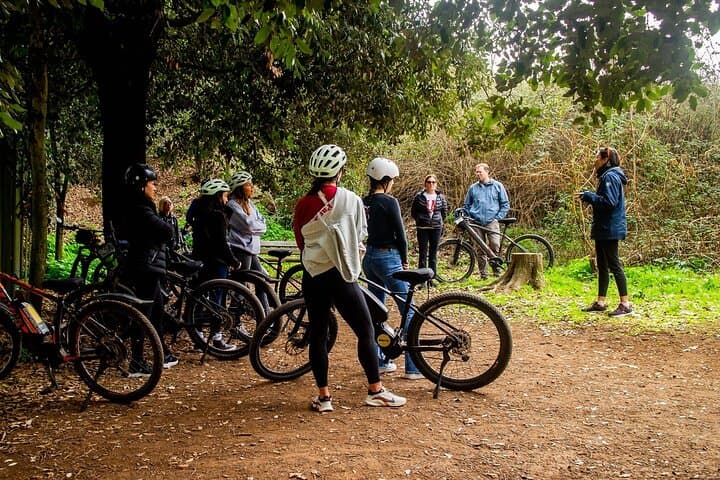 Appian Way Aqueducts e-Bike Tour with Catacombs and Lunch Box