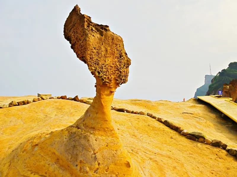 Jiufen Night Tour | Taipei