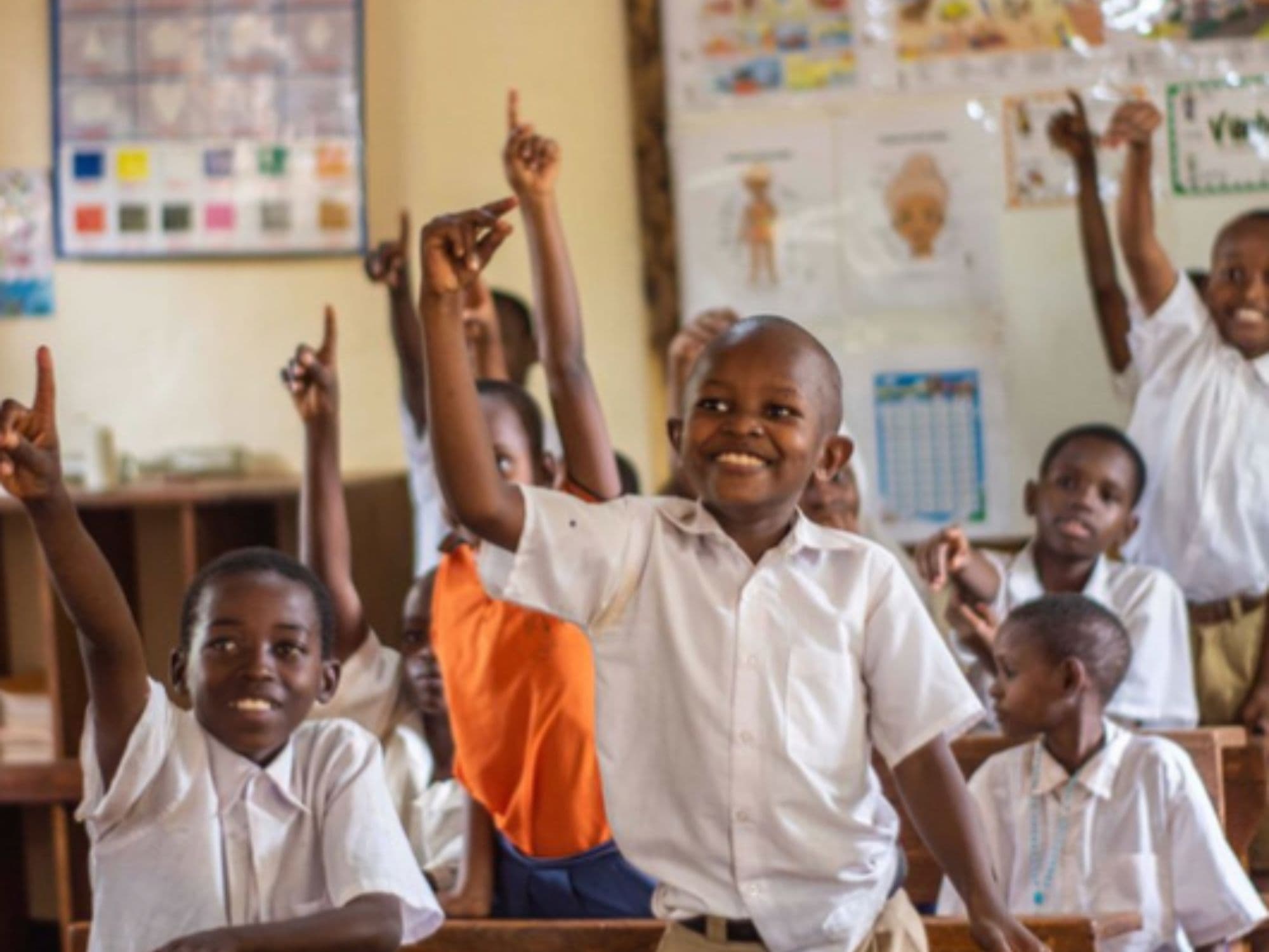 Simba's Footprints Community Center and  Walk in the Rau Forest | Tanzania