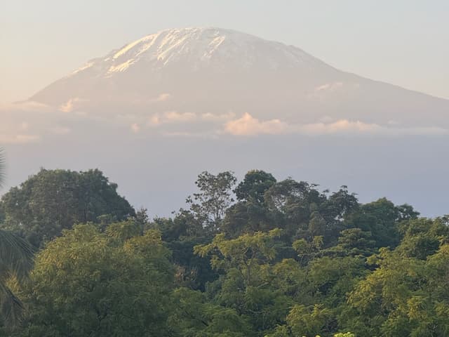 10 Days Combo Kilimanjaro and Wildlife Safari | Tanzania