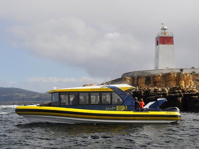Small group Iron Pot Cruises | Hobart, Tasmania