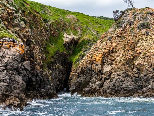 Small group Iron Pot Cruises | Hobart, Tasmania