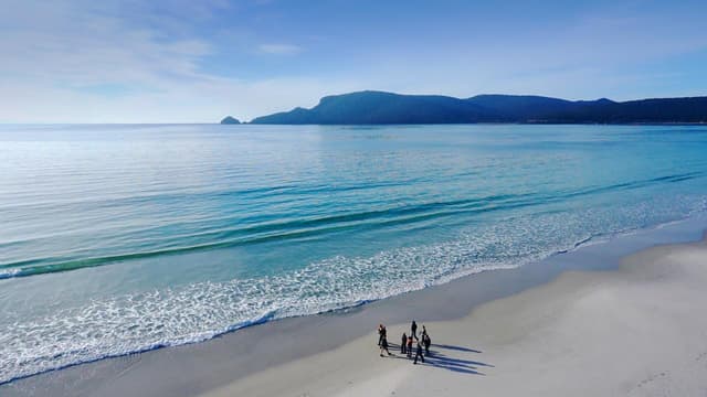 Bruny Island Traveller tasting tour