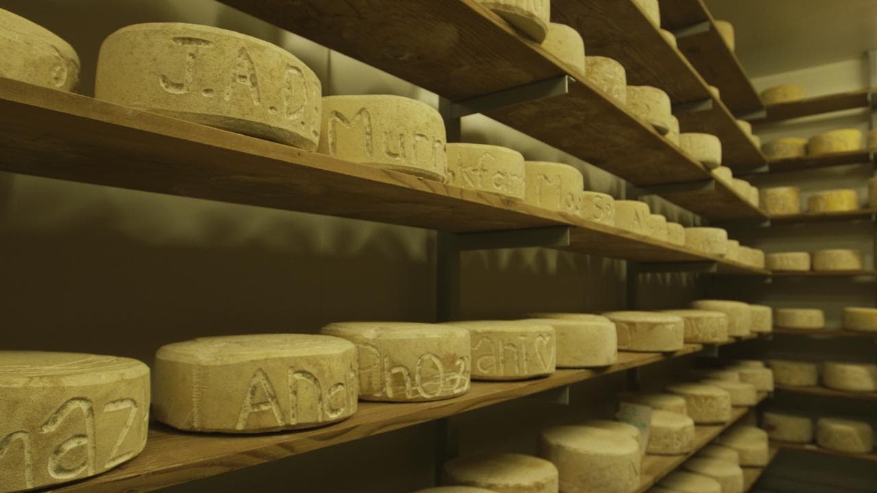 Bruny Island Traveller tasting tour