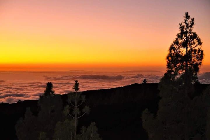 Teide National Park Sunset & Stargazing with Dinner | Tenerife