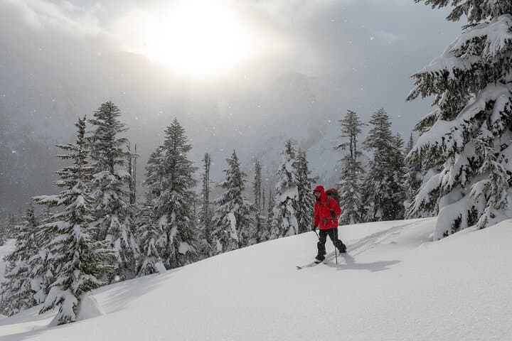 Intro to Backcountry Skiing and Splitboarding | Whistler