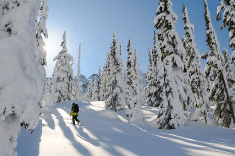 Intro to Backcountry Skiing and Splitboarding | Whistler