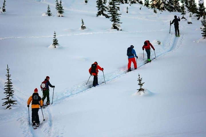 Intro to Backcountry Skiing and Splitboarding | Whistler