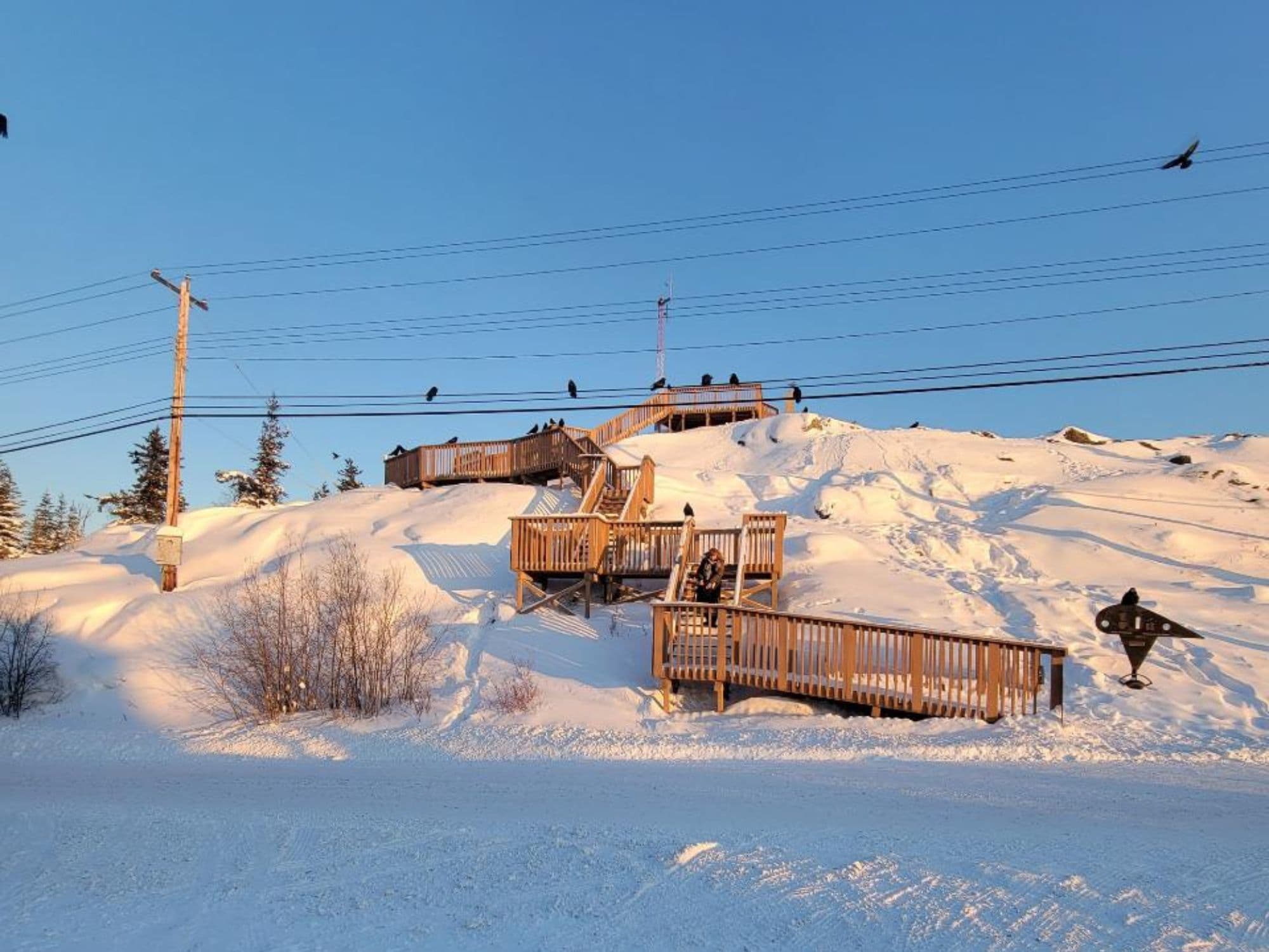 Yellowknife City Tour