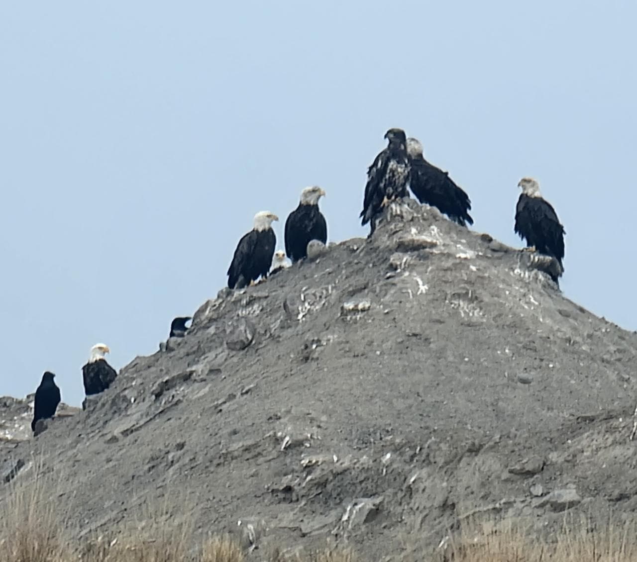 Yellowknife City Tour