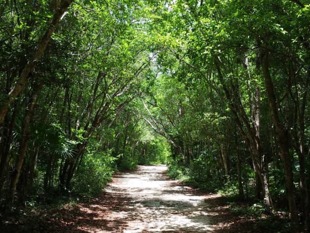 3 Cenotes Trail Private Bike Tour | Tulum