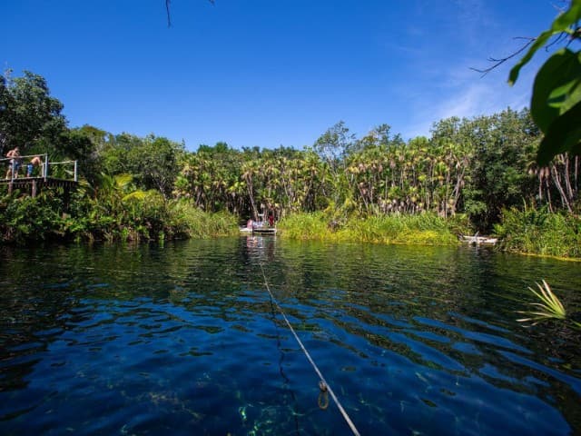 3 Cenotes Trail Private Bike Tour | Tulum