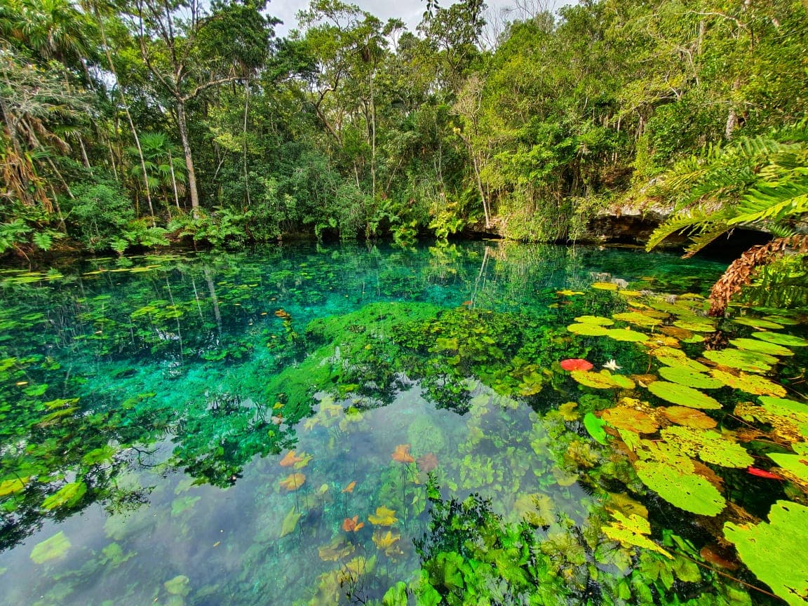 3 Cenotes Trail Private Bike Tour | Tulum