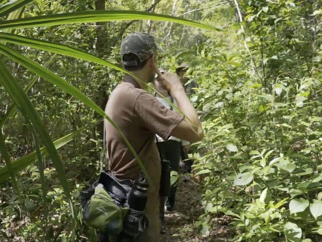 Private Bird Watching Coba & Punta Laguna | Tulum