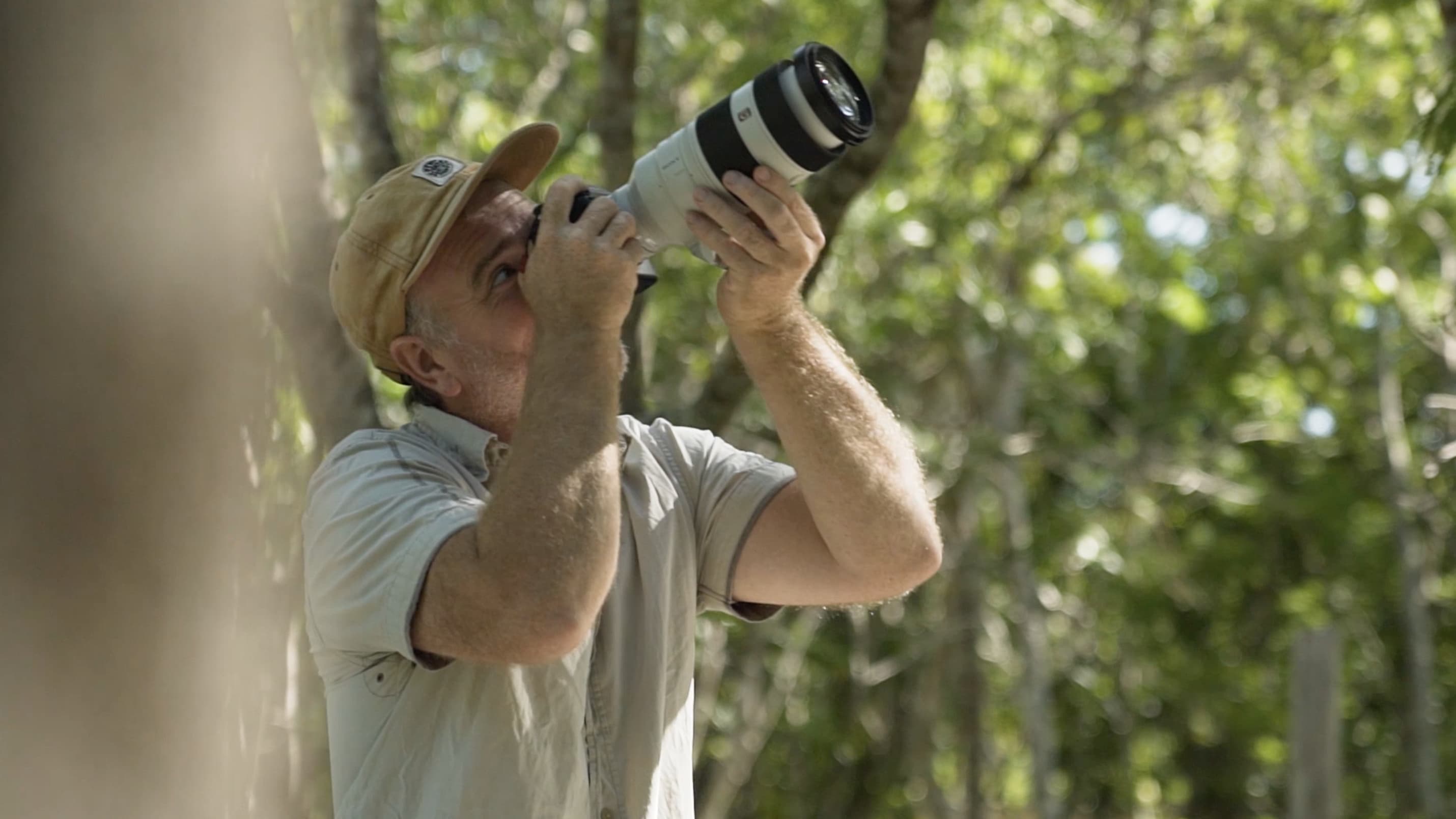 Private Bird Watching Coba & Punta Laguna | Tulum