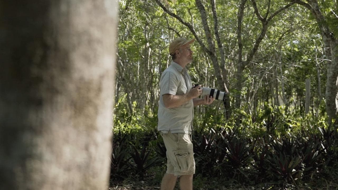 Bird Watching Coba private tour| Tulum