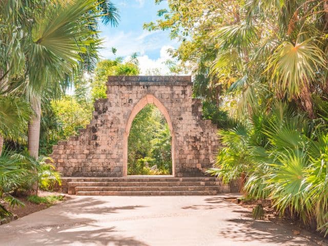 Private Bird Watching Cozumel tour | Yucatan