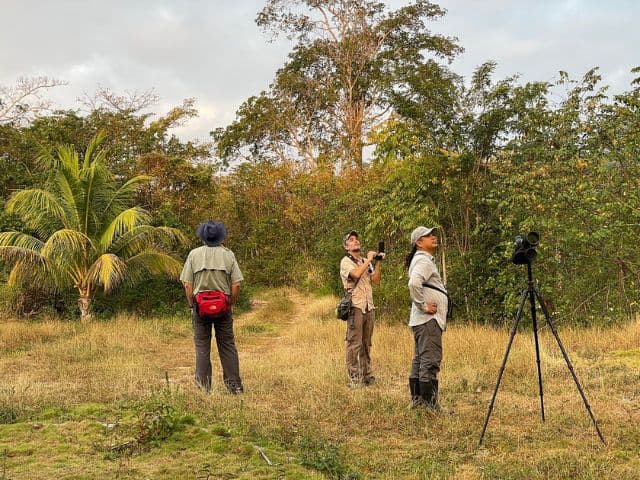 Private Bird Watching Cozumel tour | Yucatan