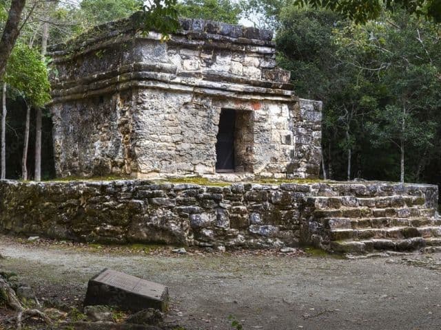 Private Bird Watching Cozumel tour | Yucatan