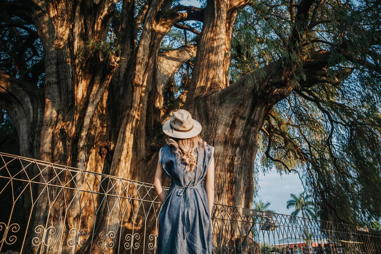 Hierve el Agua, Zapotec Weavers & Ancient Wonders small group tour