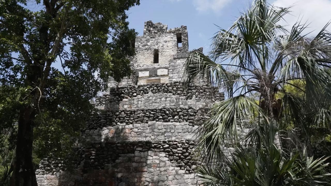 Bird Watching Muyil Group tour | Tulum