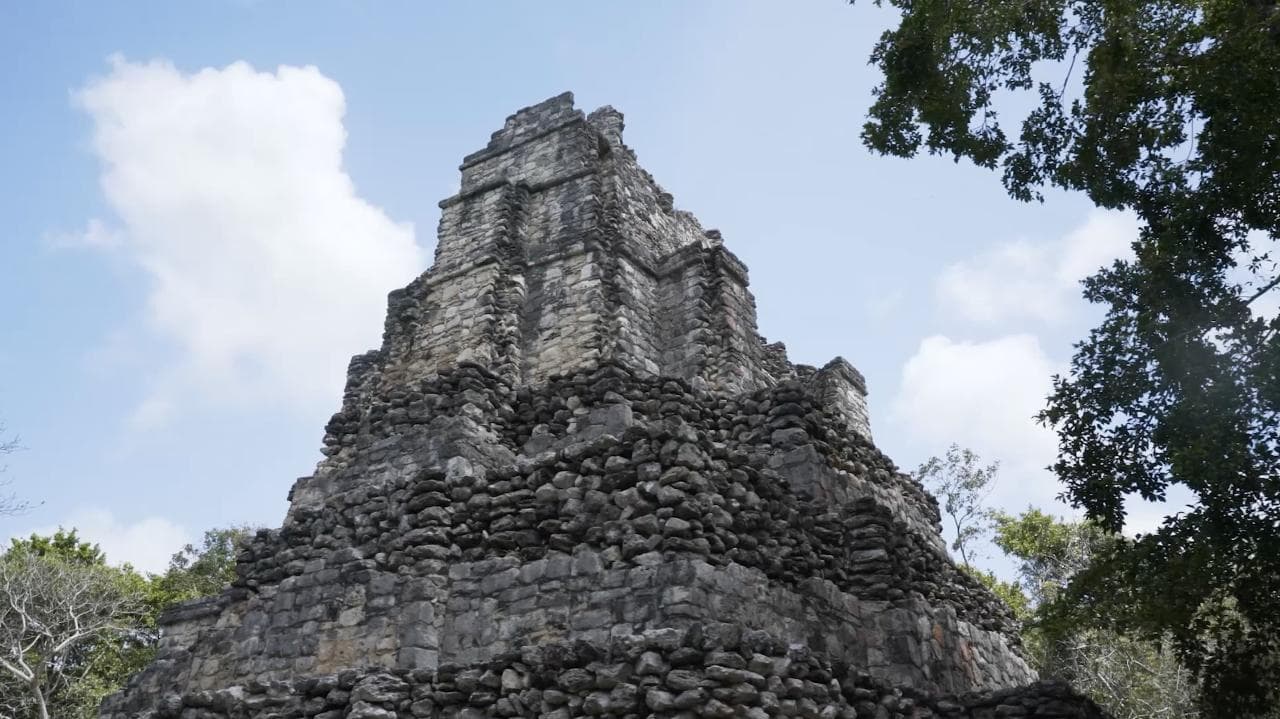 Bird Watching Muyil Group tour | Tulum