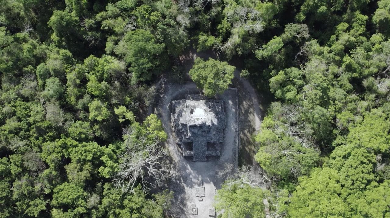 Bird Watching Muyil Group tour | Tulum