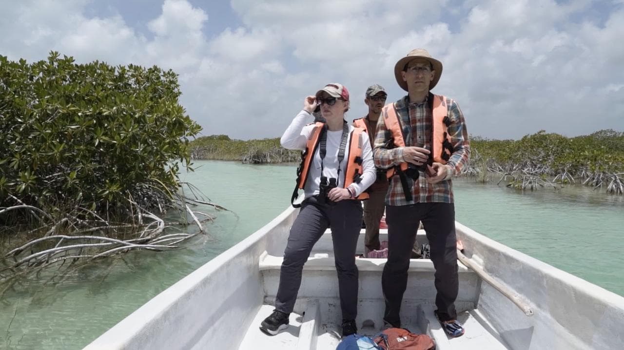 Bird Watching Muyil Group tour | Tulum