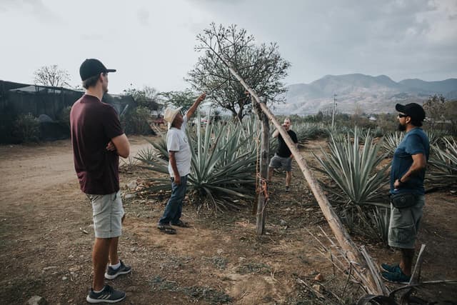 Oaxaca Crafts, Cuisine & Mezcal small group tour