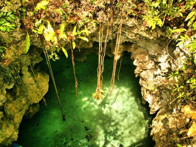Mayan Underworld Snorkel Tour | Tulum