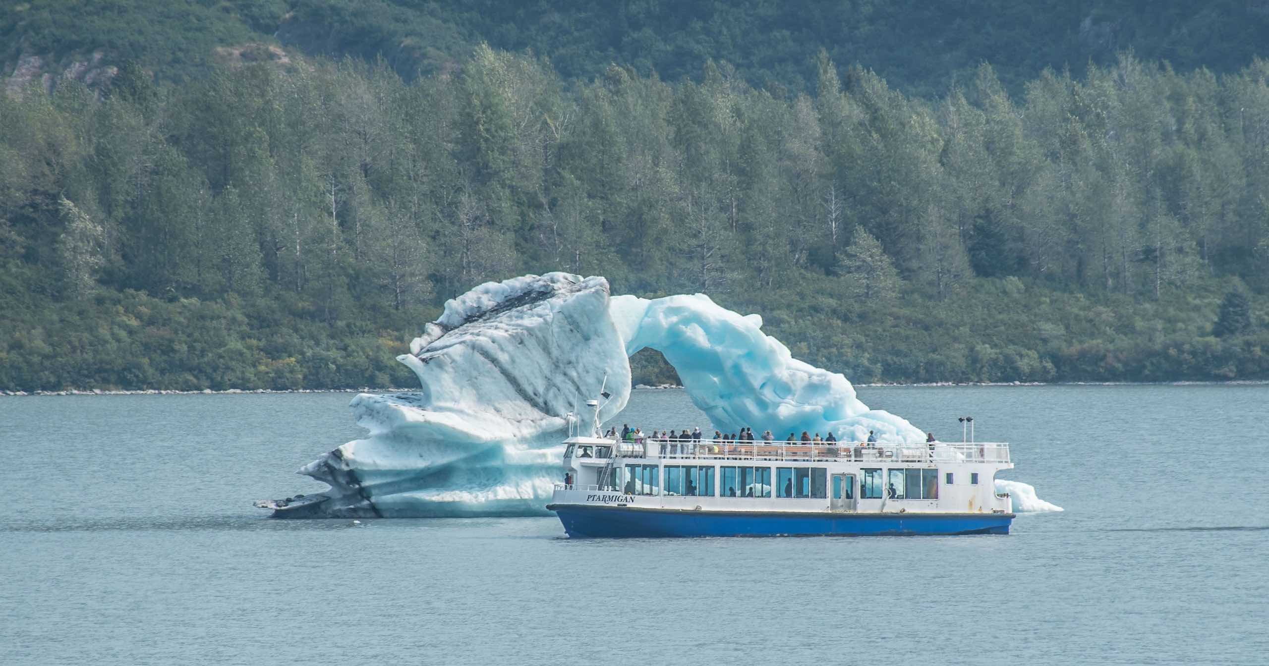 Glaciers and Wildlife: Super-Scenic Day Tour