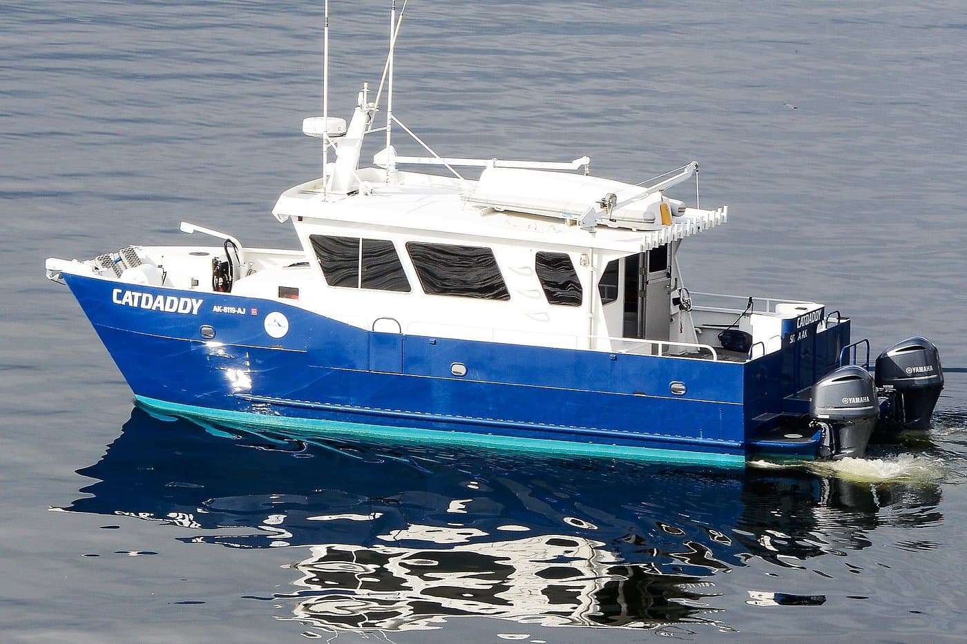 4 Hour Enduring Whale & Wildlife Tour