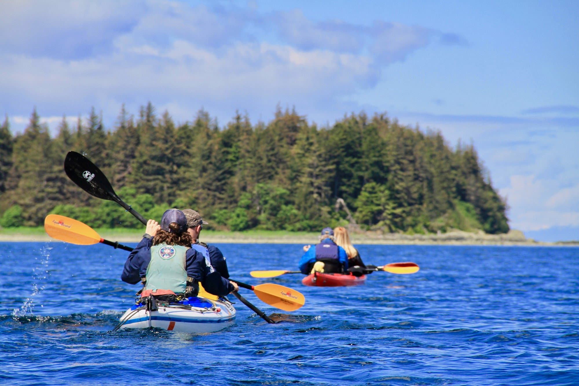 Paddle With Whales Kayak Adventure