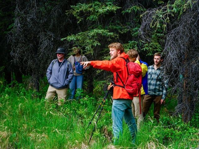 Naturalist Walking Tour at Denali National Park