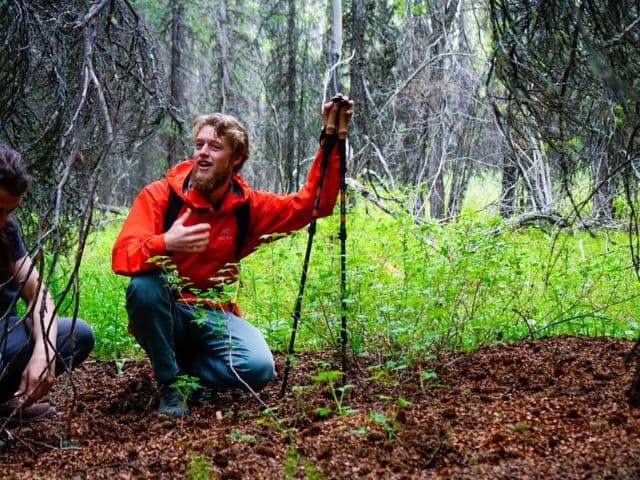 Naturalist Walking Tour at Denali National Park