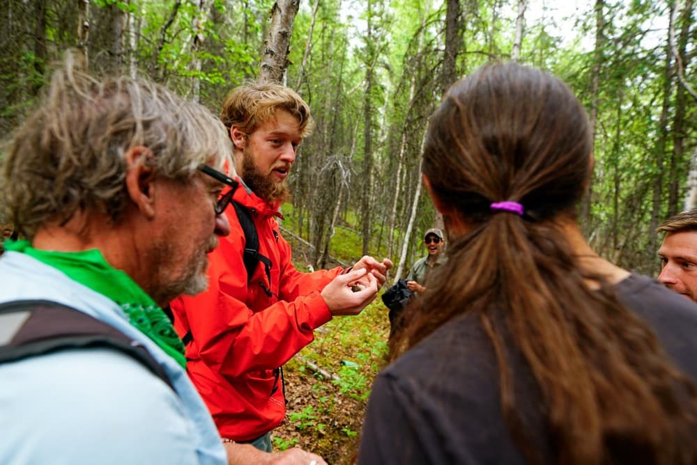 Naturalist Walking Tour at Denali National Park