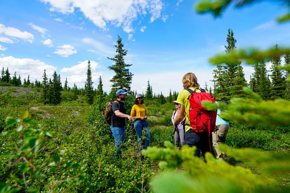 Wilderness Wonders Tour at Denali National Park