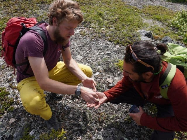 Wilderness Wonders Tour at Denali National Park