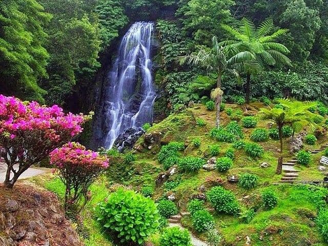 Full Day Nordeste Region & Waterfalls Tour