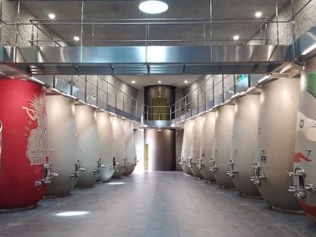 Private wine tour from Bordeaux in the Graves region